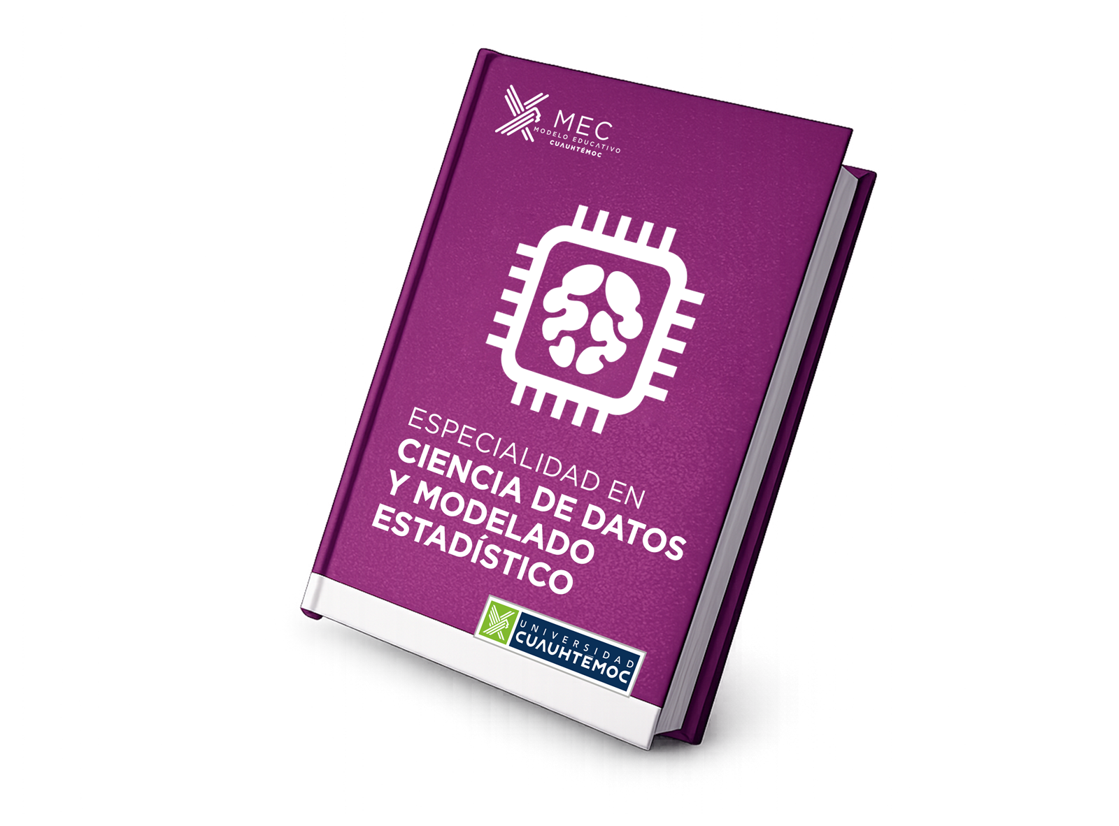 ESP-Ciencia-de-datos-y-modelado-estadístico-book ESP-Ciencia-de-datos-y-modelado-estadístico-book