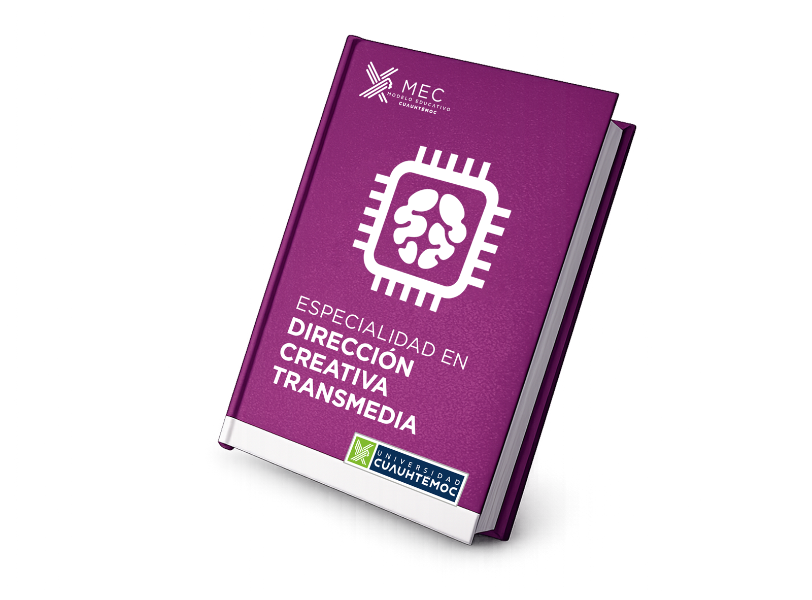 ESP-Dirección-creativa-transmedia-book ESP-Dirección-creativa-transmedia-book