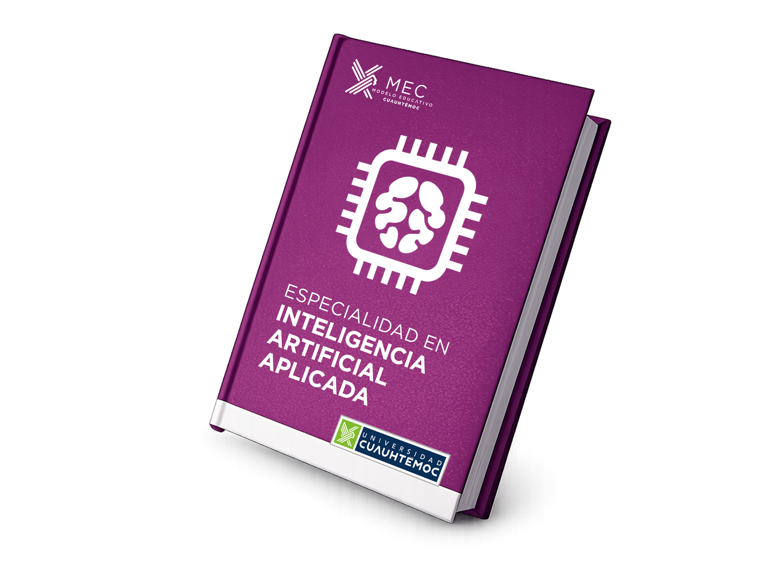 ESP-Inteligencia-artificial-aplicada-book ESP-Inteligencia-artificial-aplicada-book