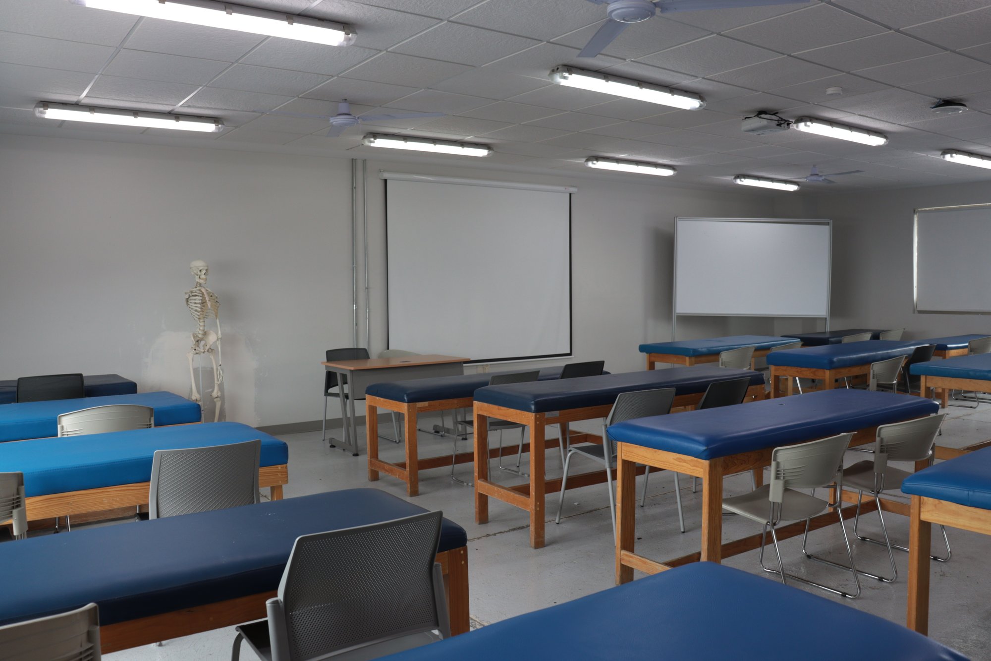 SALONES DE FISIO