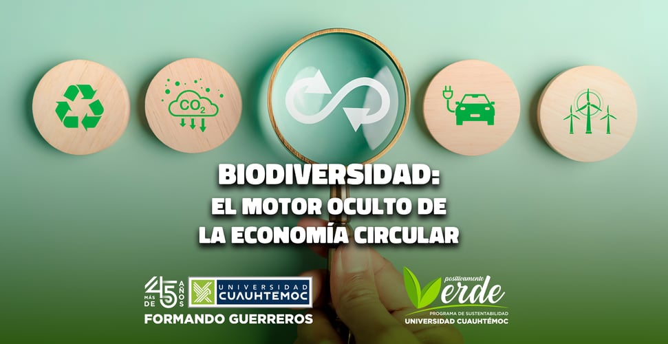 biodiversidad economia circular