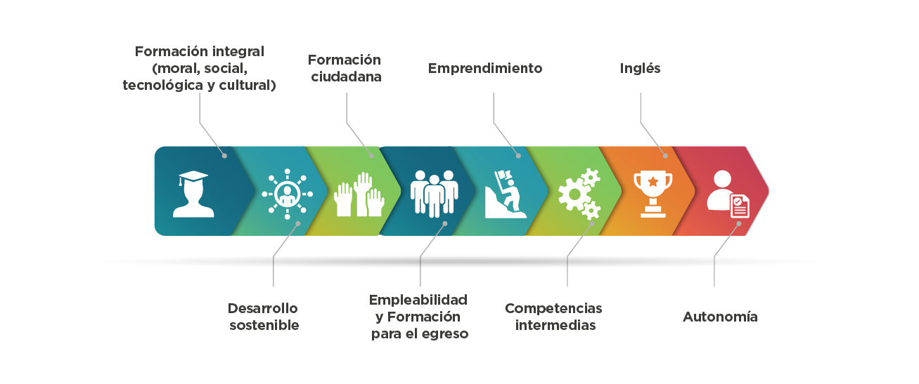 infografia-10 MEC_caracteristicas modelo